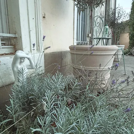 La Maison Jolie Bed & Breakfast Puicheric